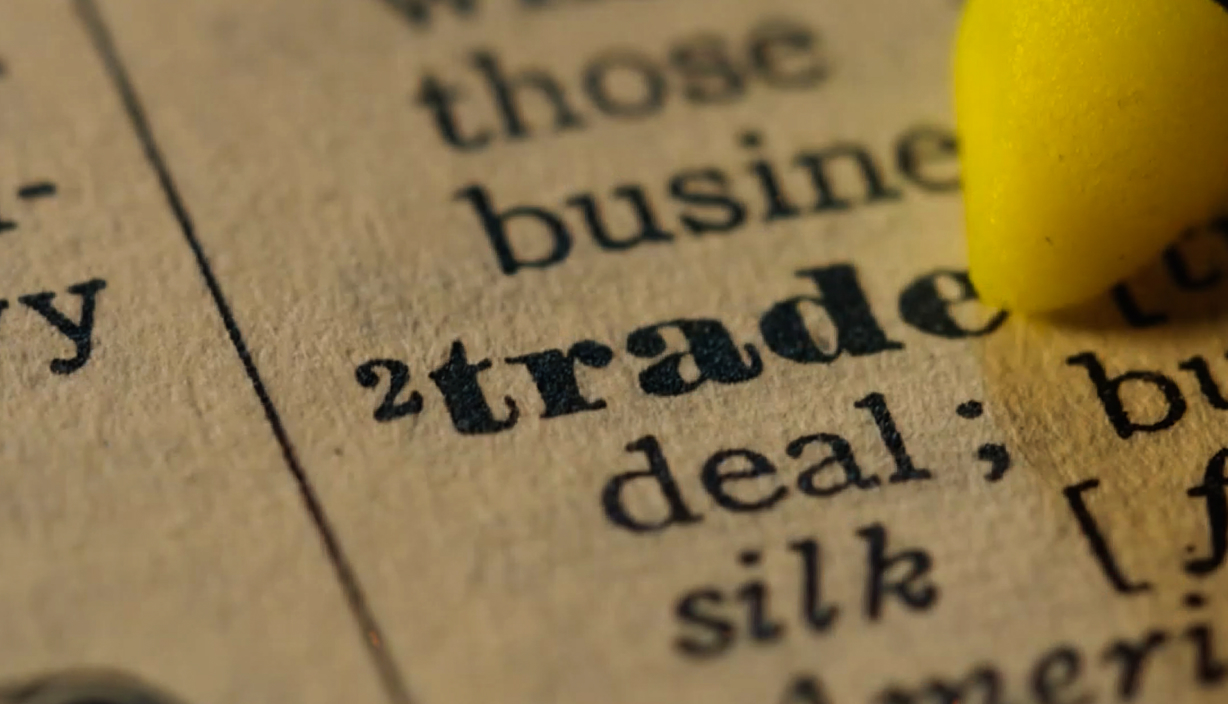 Plano detalle de la palabra 